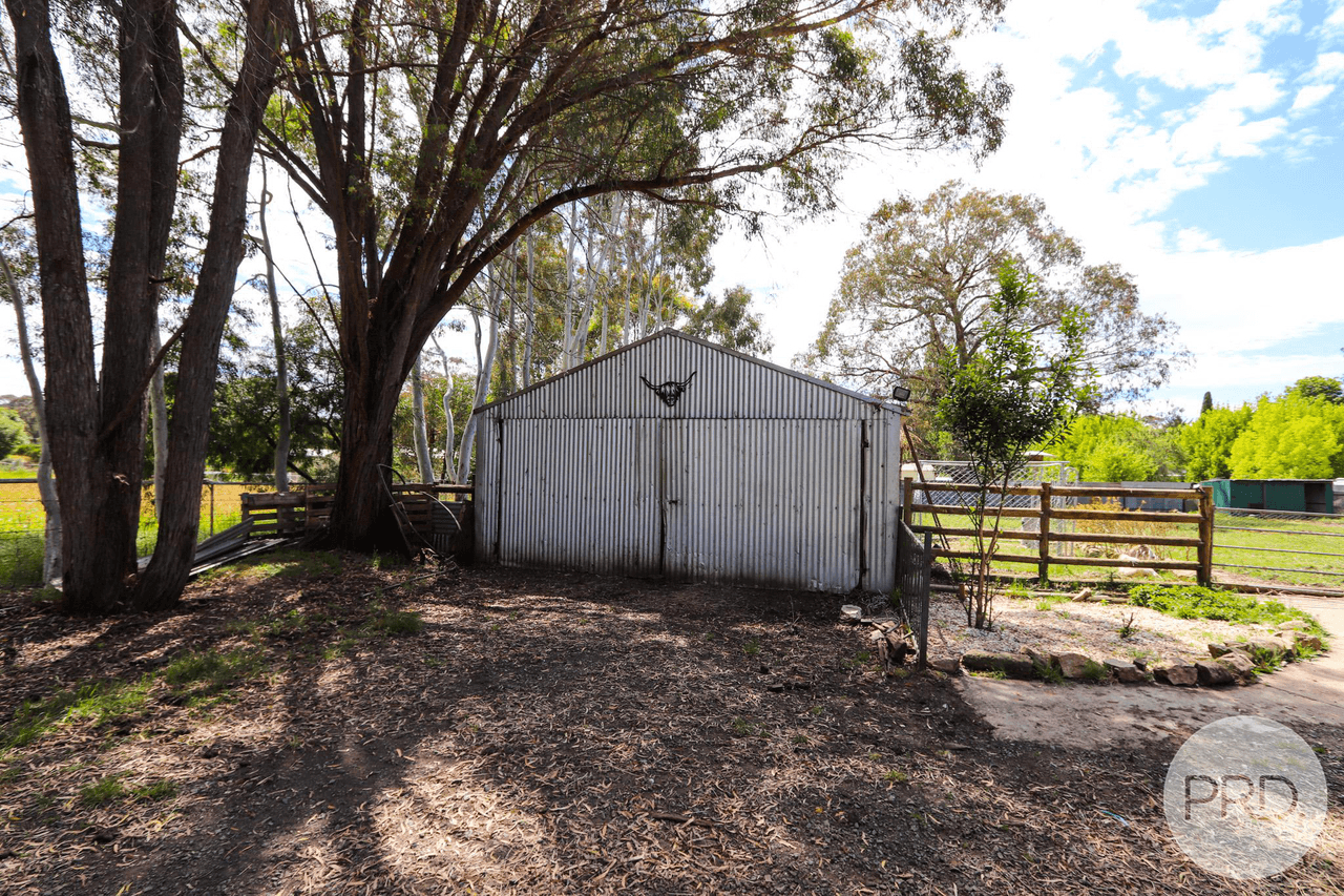 34 CARABOST Street, ROSEWOOD, NSW 2652