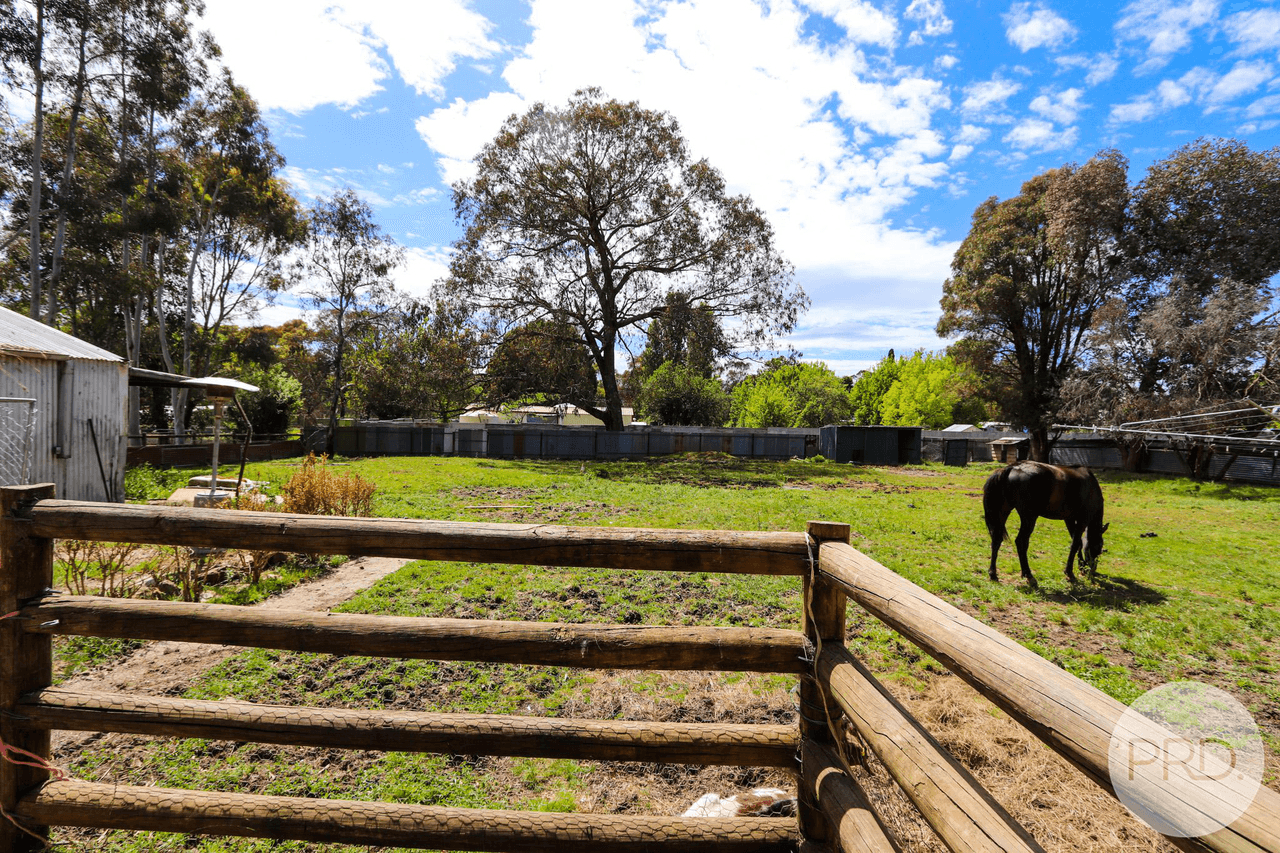 34 CARABOST Street, ROSEWOOD, NSW 2652