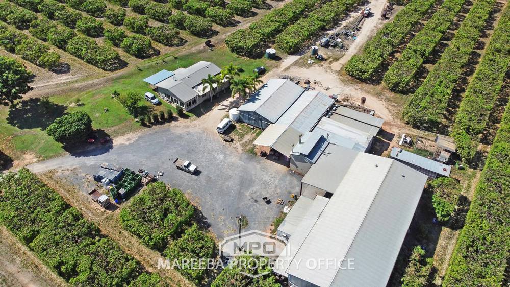1151 Leafgold Weir Road, DIMBULAH, QLD 4872