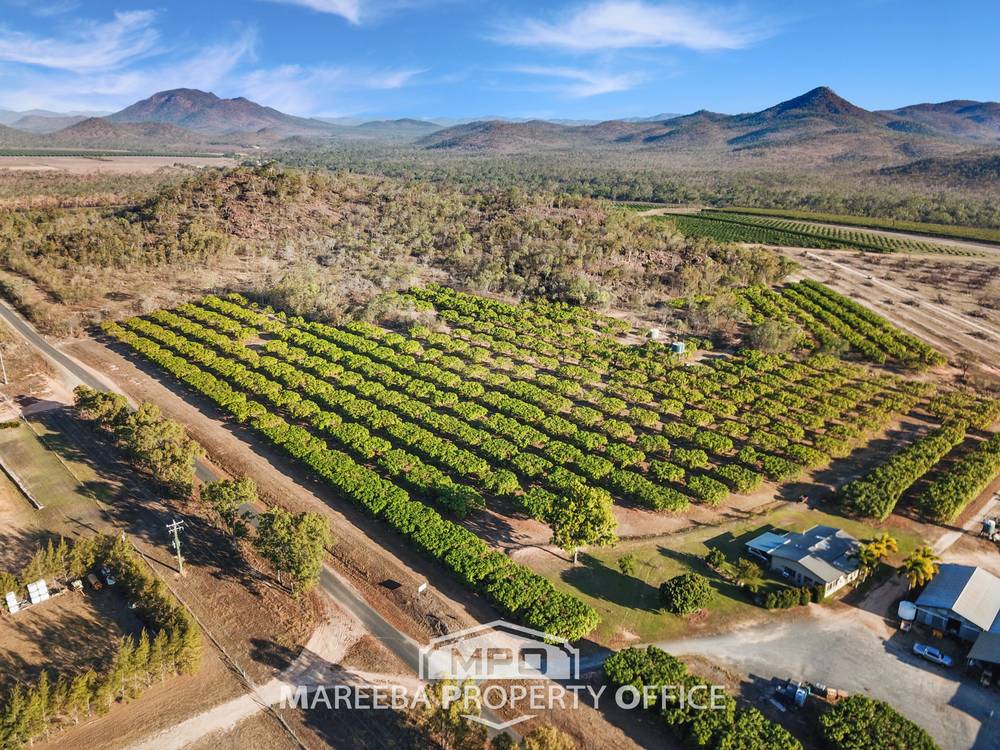 1151 Leafgold Weir Road, DIMBULAH, QLD 4872