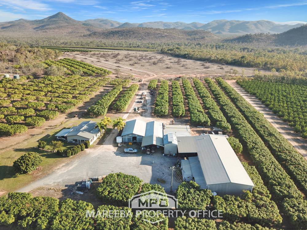 1151 Leafgold Weir Road, DIMBULAH, QLD 4872