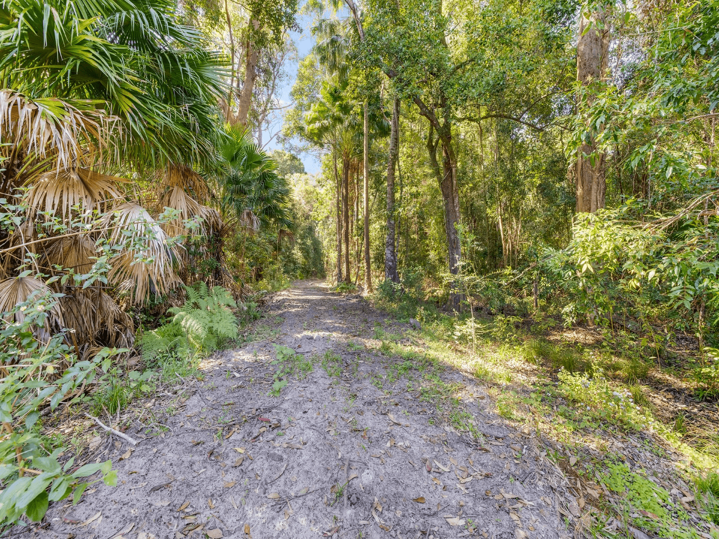 81 Rainforest Drive, MERIDAN PLAINS, QLD 4551