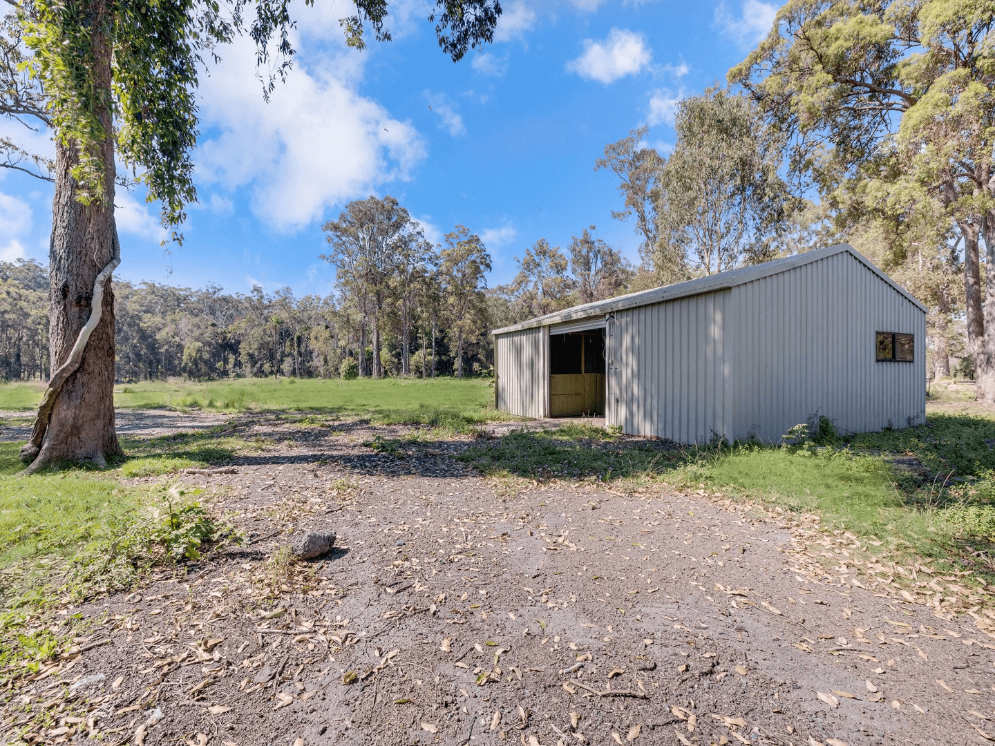 81 Rainforest Drive, MERIDAN PLAINS, QLD 4551