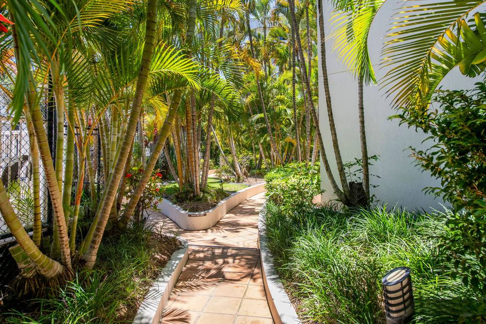 14/210-218 Surf Parade, Surfers Paradise, QLD 4217