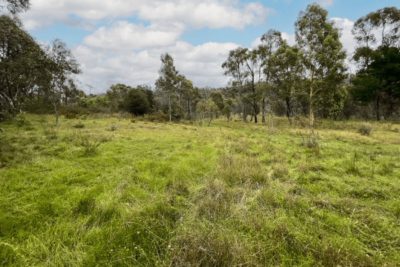 LT16 North Black Range Fire Trail, Mulloon, NSW 2622