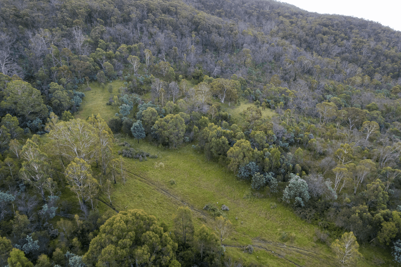 LT16 North Black Range Fire Trail, Mulloon, NSW 2622