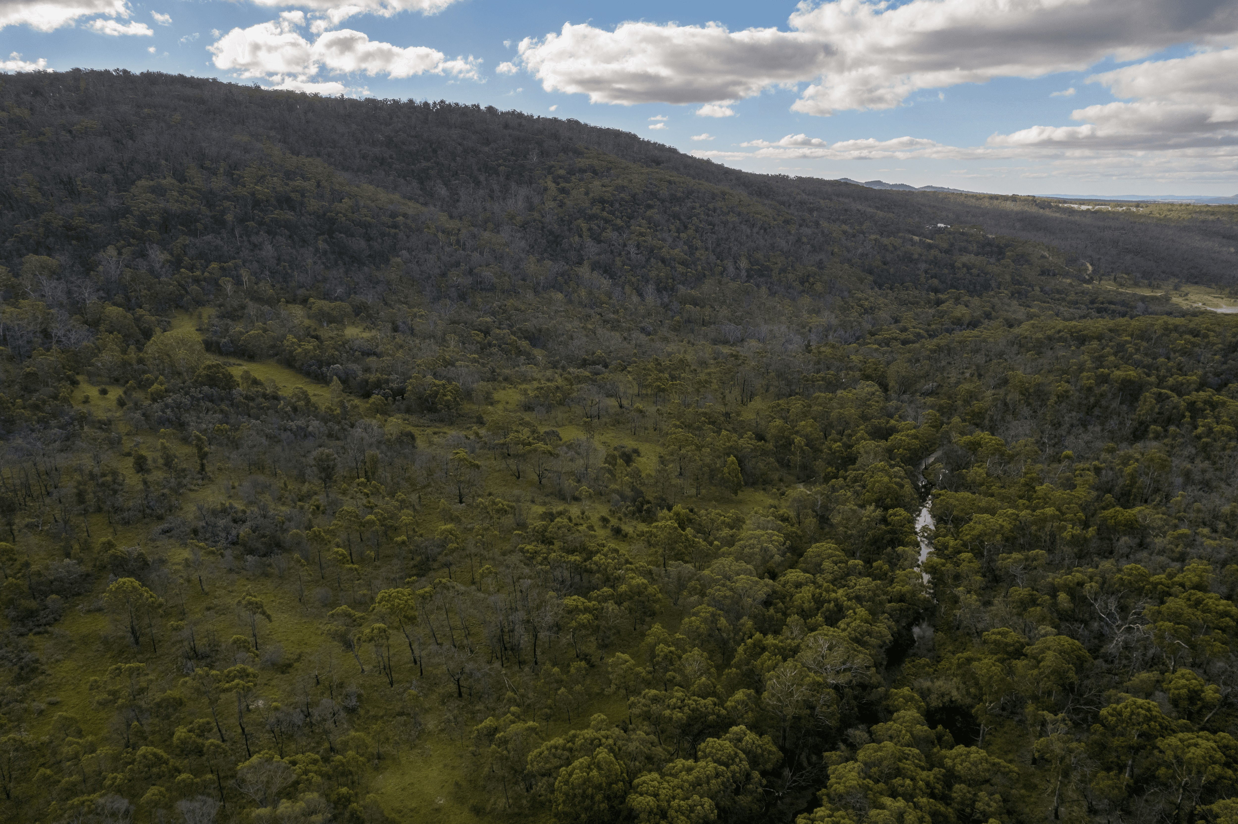 LT16 North Black Range Fire Trail, Mulloon, NSW 2622