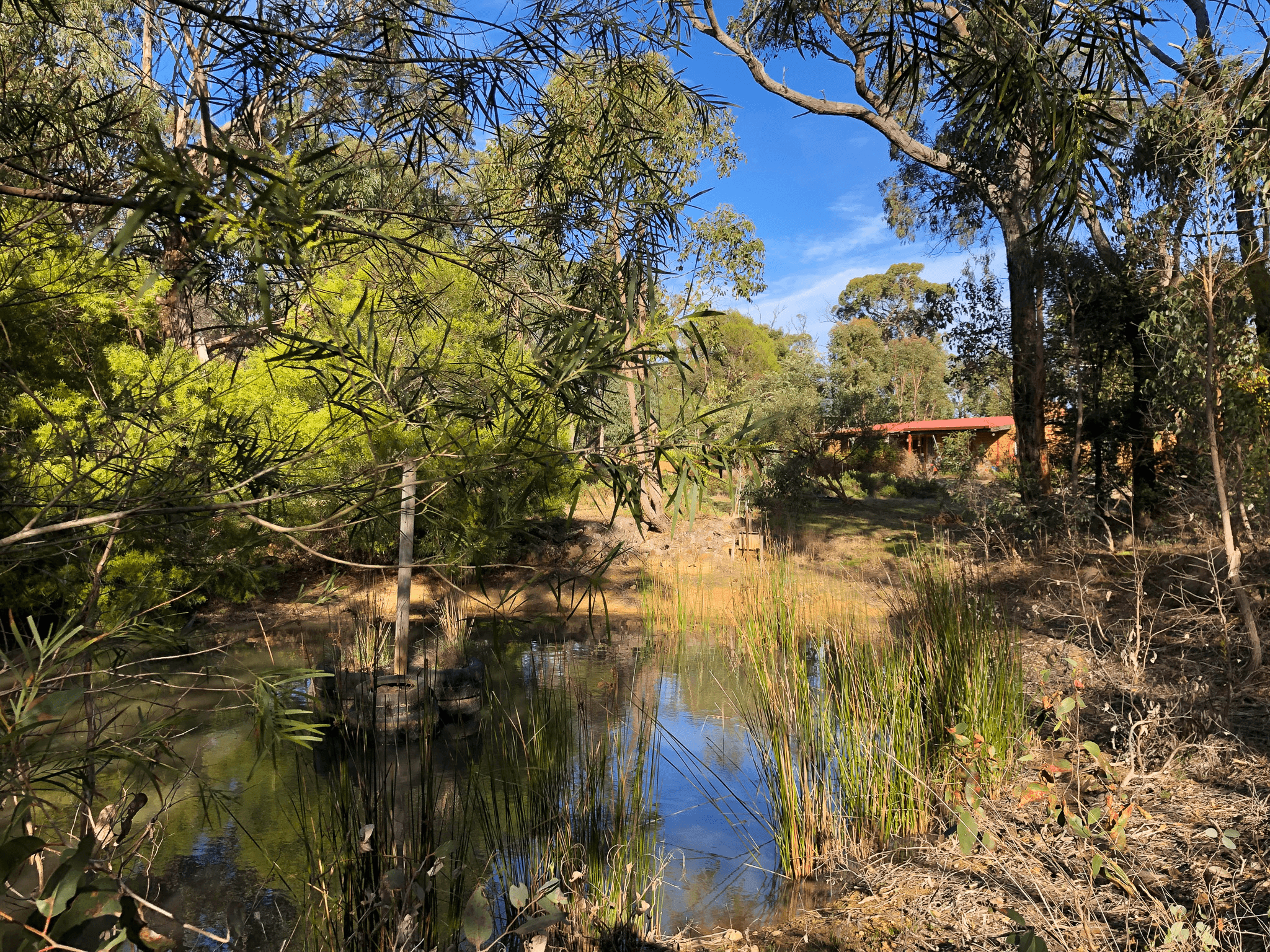 36 GREVILLEA ROAD, DEREEL, VIC 3352