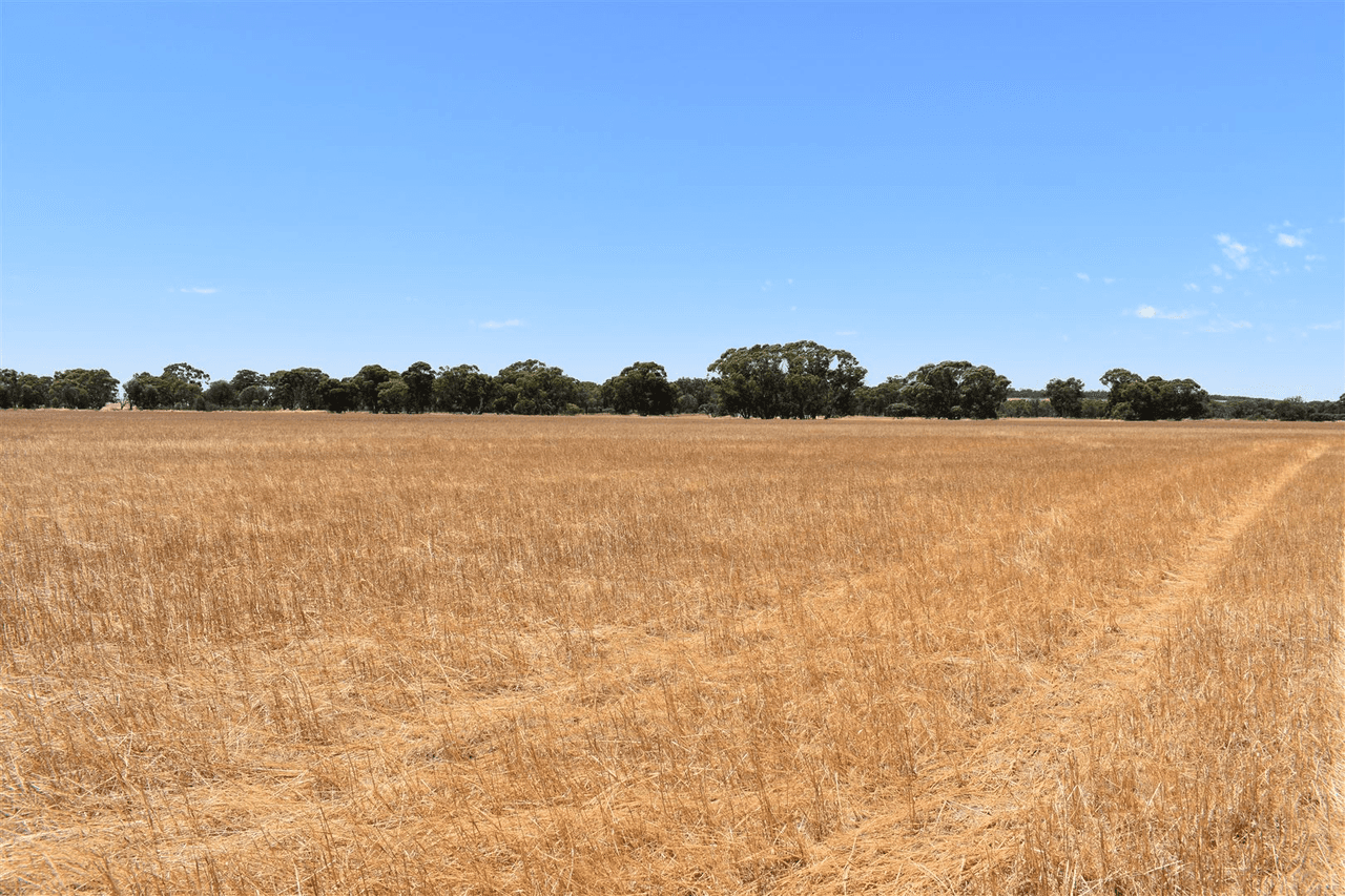 ' Kynterne ', Boyerine, WA 6316