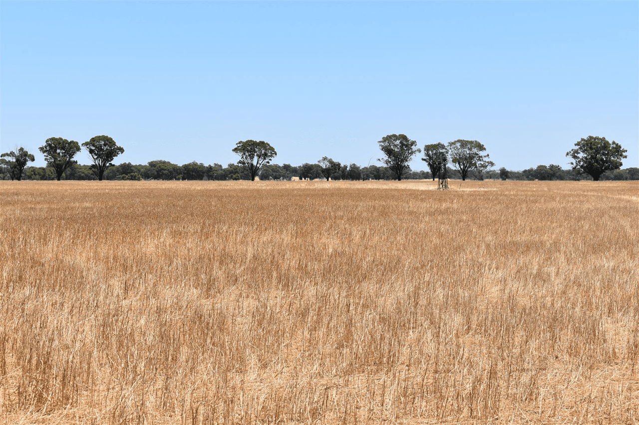 ' Kynterne ', Boyerine, WA 6316