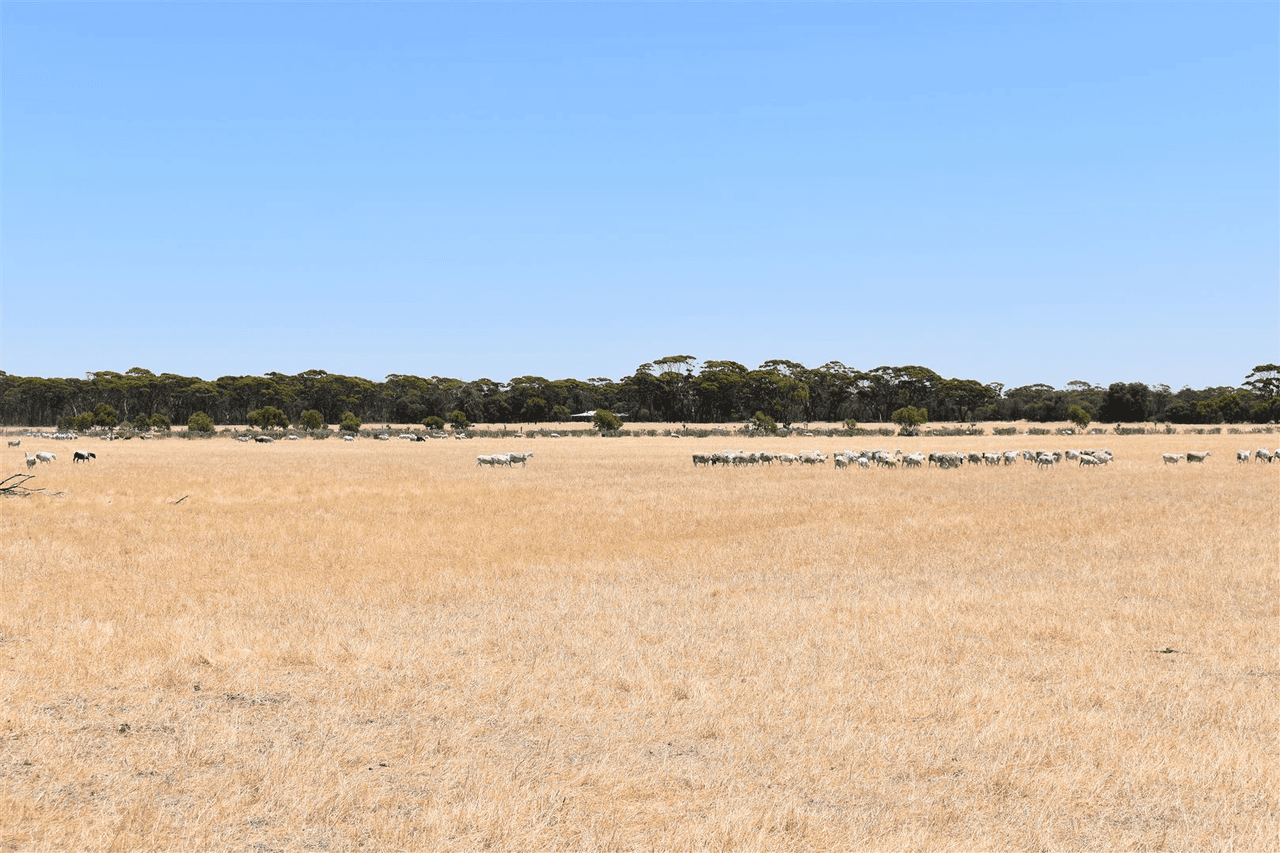 ' Kynterne ', Boyerine, WA 6316