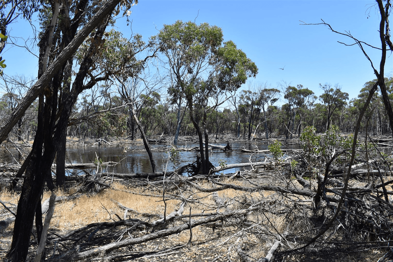 ' Kynterne ', Boyerine, WA 6316