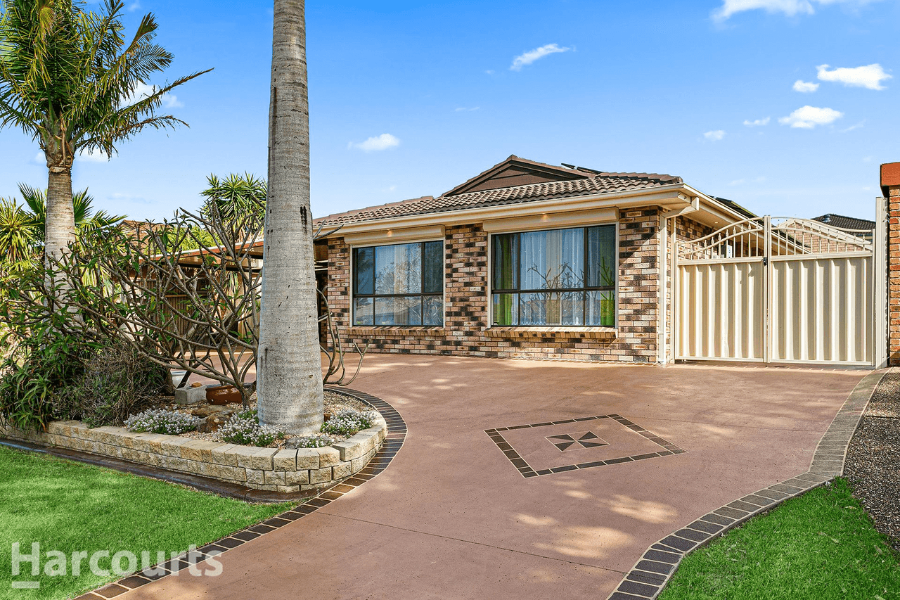 7 Ribbonwood Place, ALBION PARK RAIL, NSW 2527