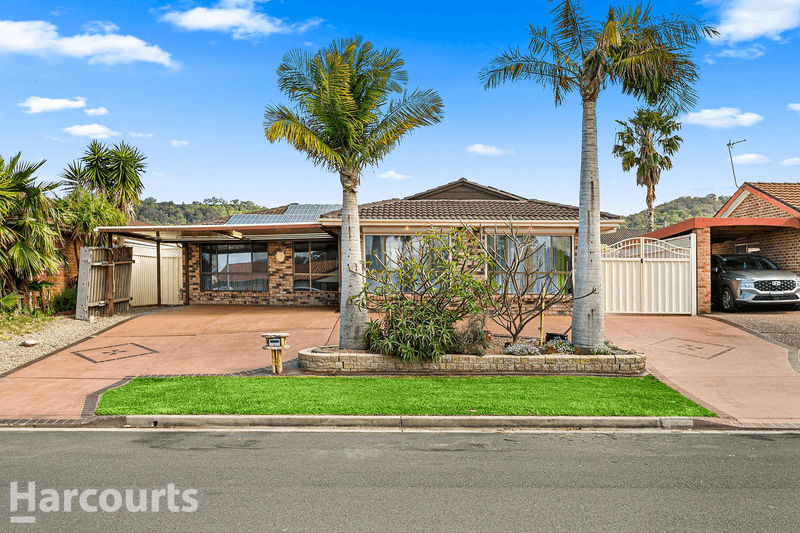 7 Ribbonwood Place, ALBION PARK RAIL, NSW 2527