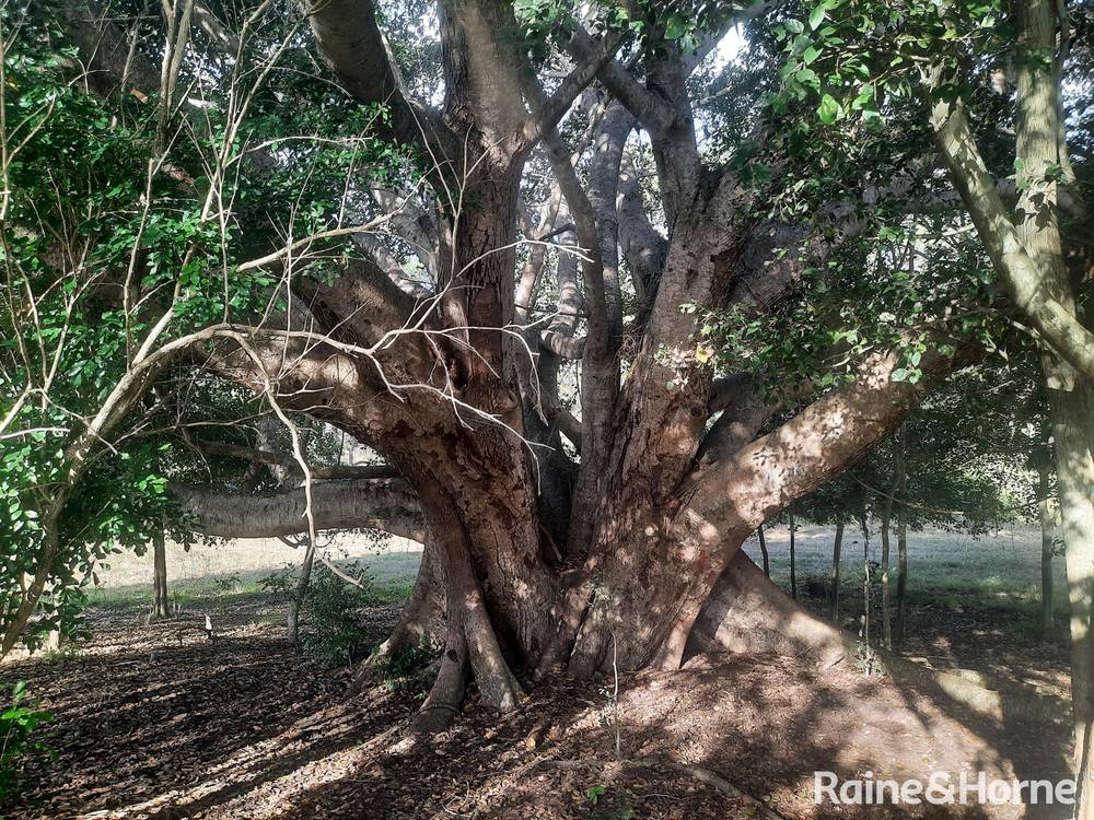 Lot 2 Tunnel Road, BOOLBOONDA, QLD 4671