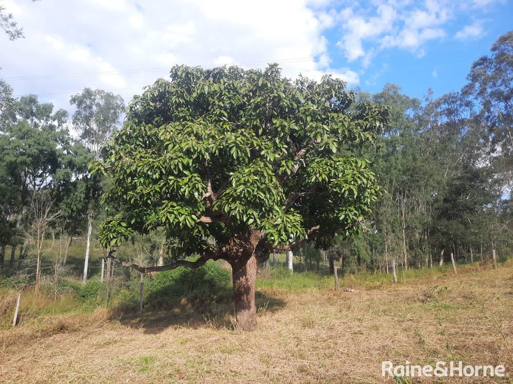 Lot 2 Tunnel Road, BOOLBOONDA, QLD 4671