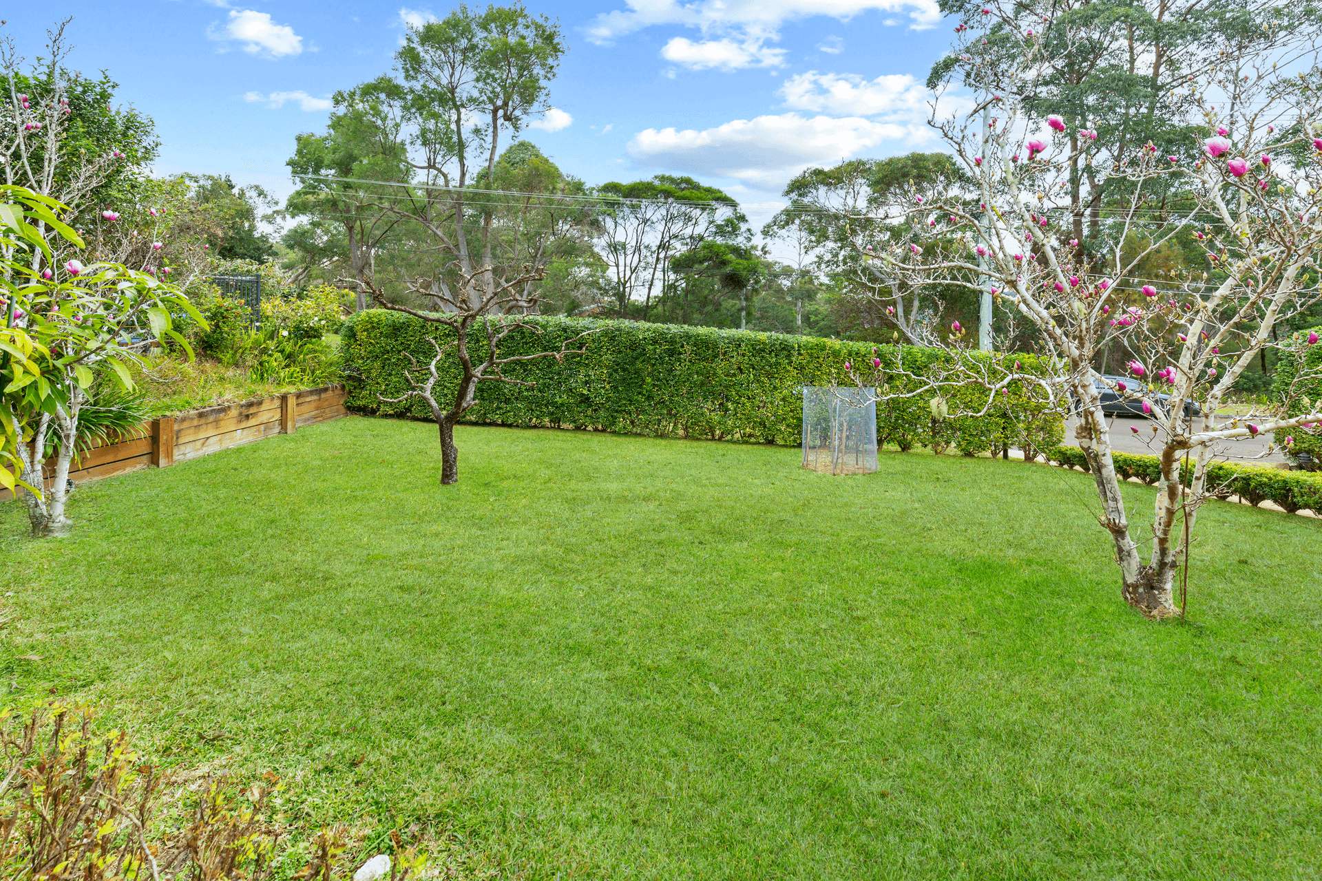 22 Maitland Street, Davidson, NSW 2085