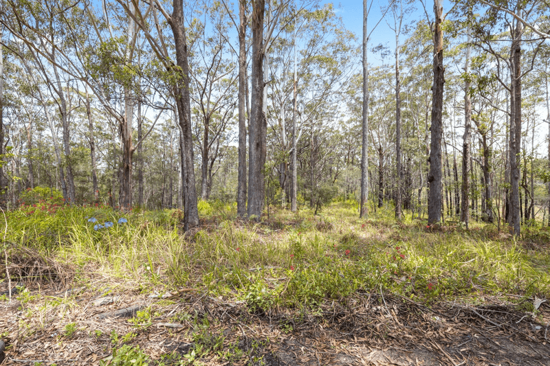 Lot 5 Hungry Head Road, URUNGA, NSW 2455