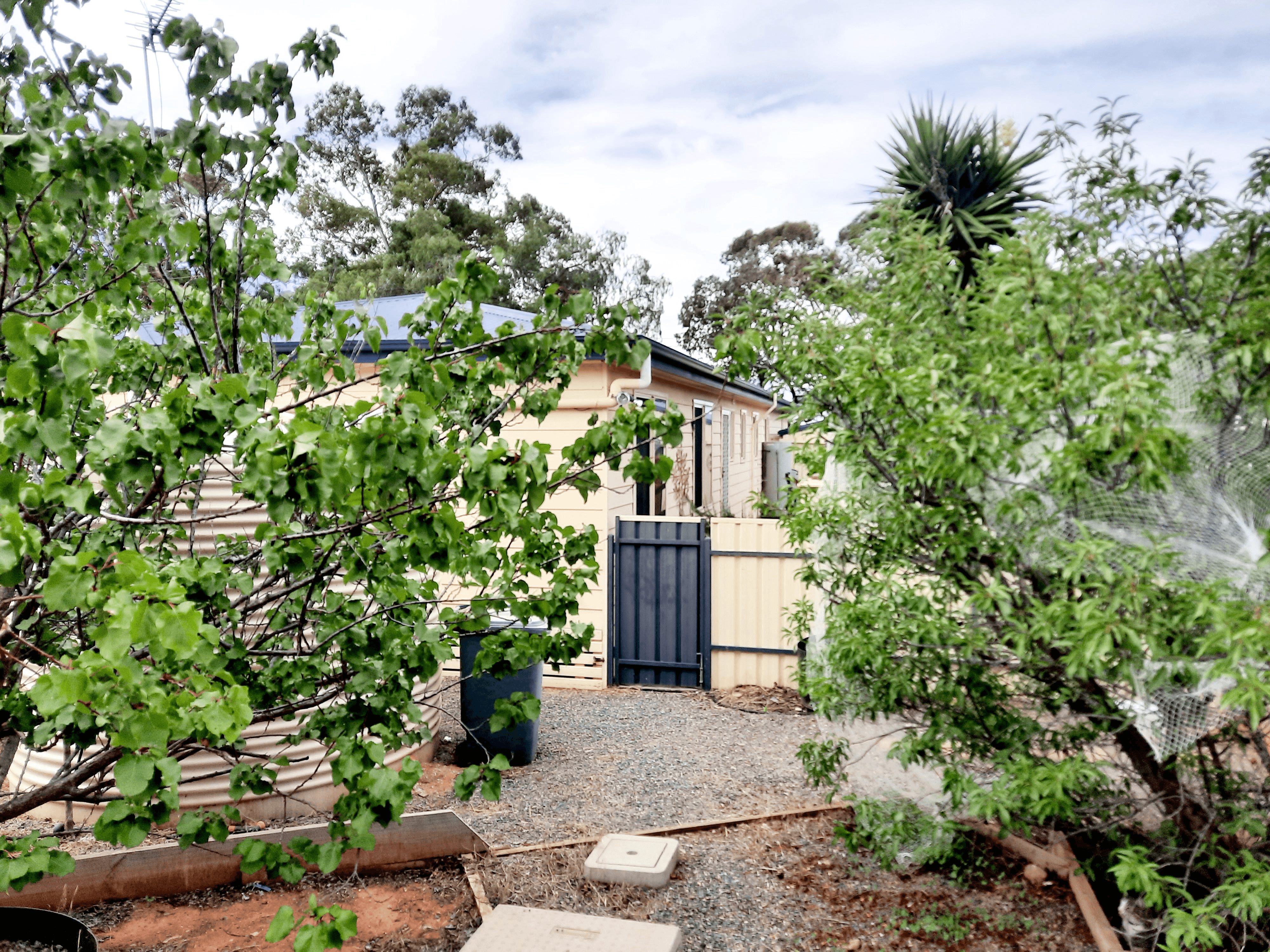 11 Roberts Crescent, PORT AUGUSTA, SA 5700