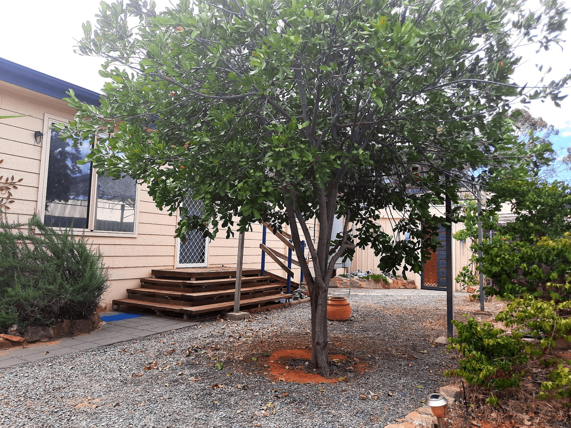 11 Roberts Crescent, PORT AUGUSTA, SA 5700
