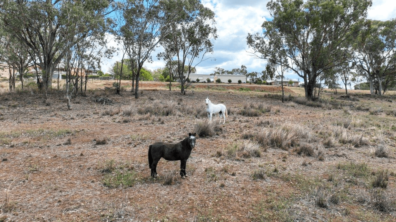 120 Tullamore Road, TAMWORTH, NSW 2340