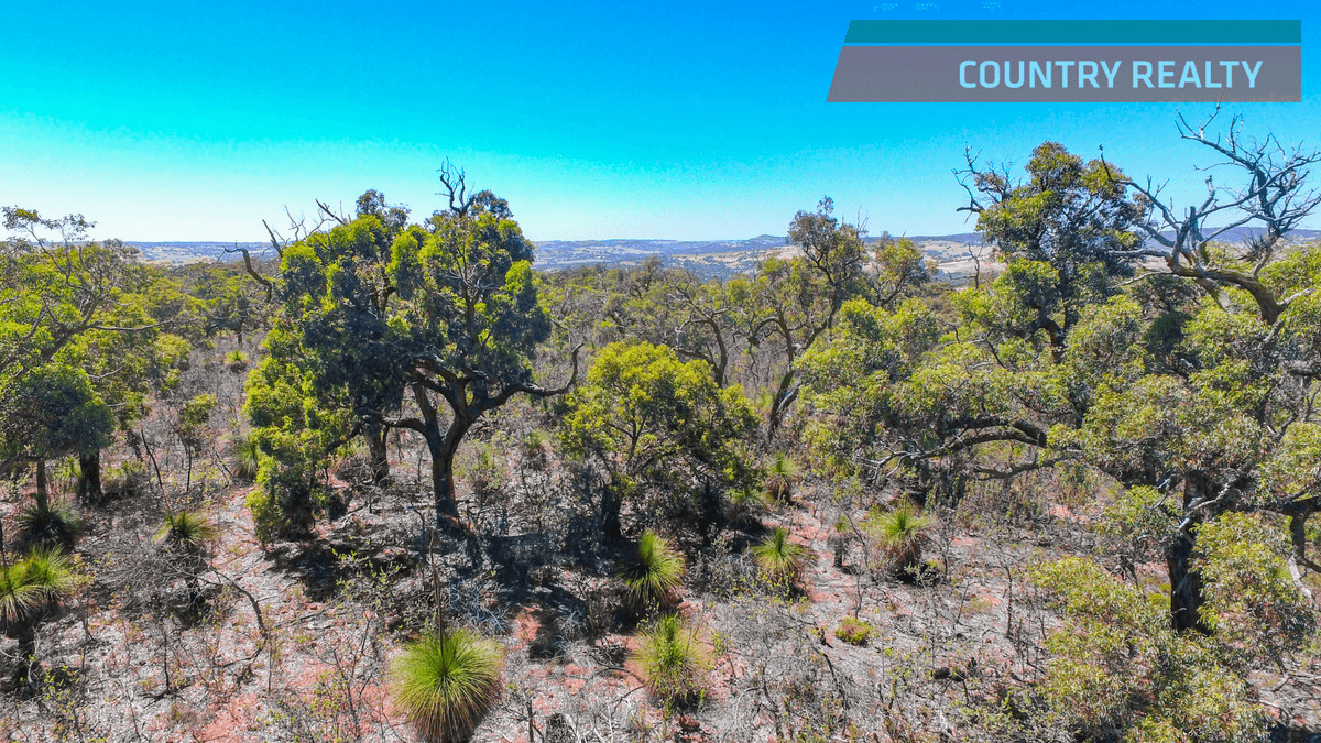 120 Ridley Circle, Toodyay, WA 6566