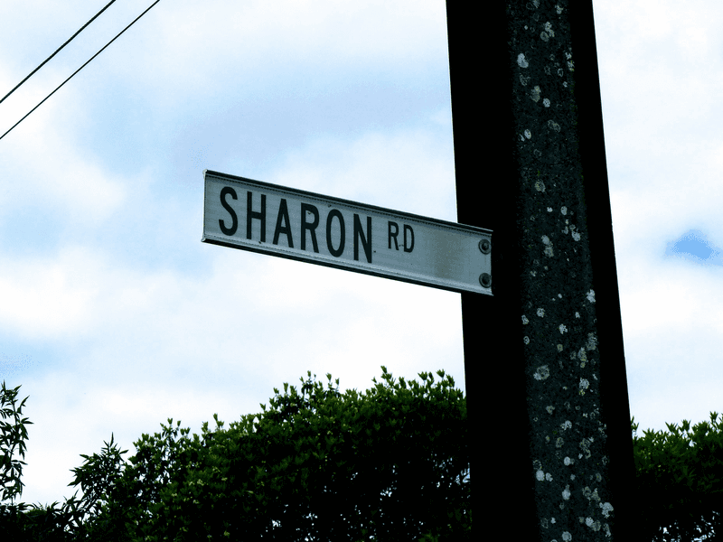 3 Sharon Road, RIDGEHAVEN, SA 5097