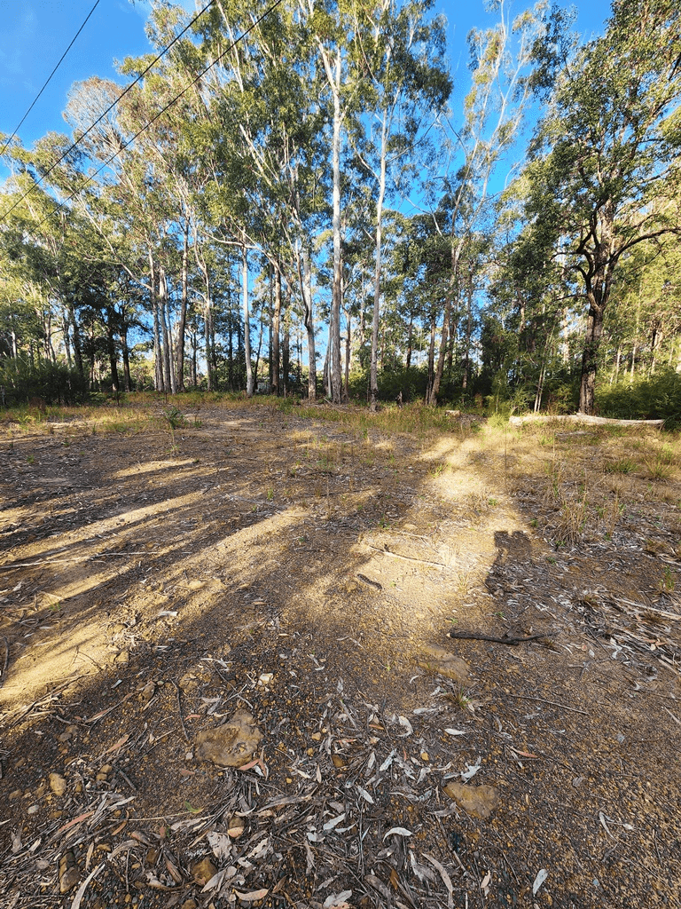 Lot 44/ 45 Pine Forest Rd, Tomerong NSW 2540, TOMERONG, NSW 2540