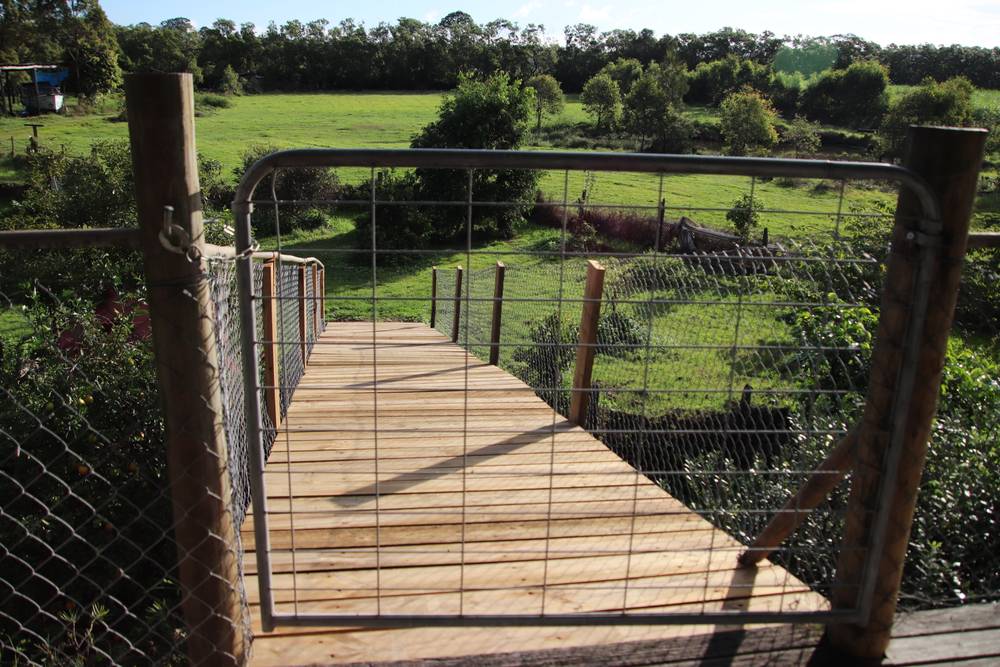 53 Cane Farm Rd, ALBERTON, QLD 4207