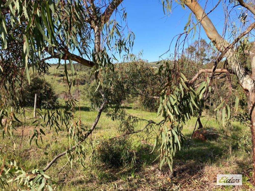 Lot 201 Stinky Creek Road, Tiatukia, SA 5607