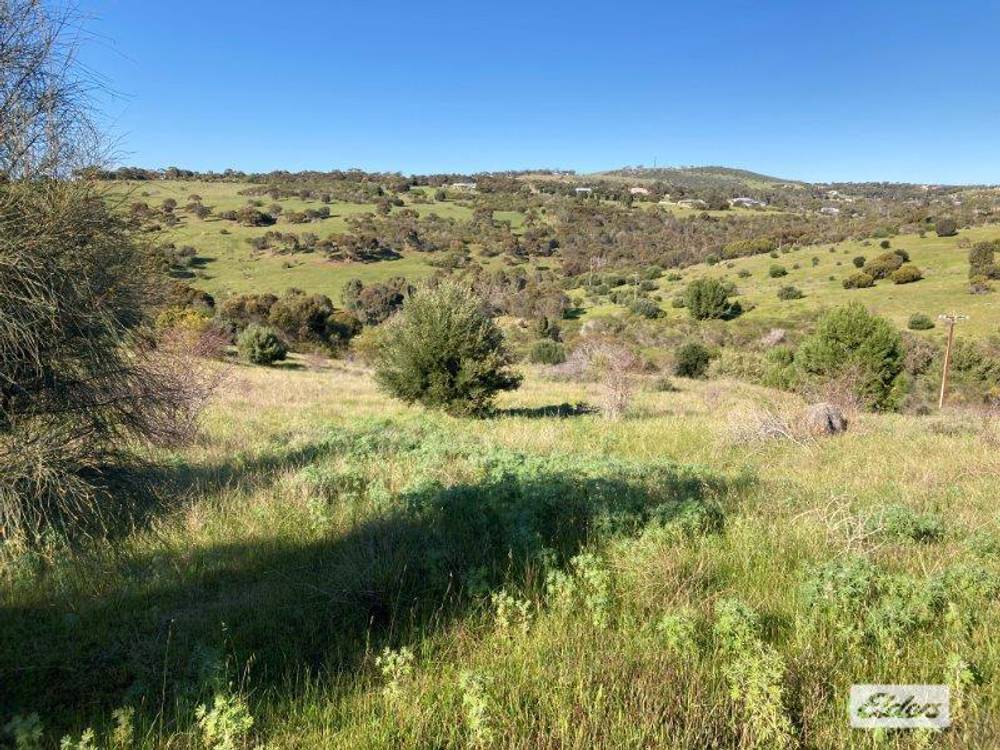 Lot 201 Stinky Creek Road, Tiatukia, SA 5607