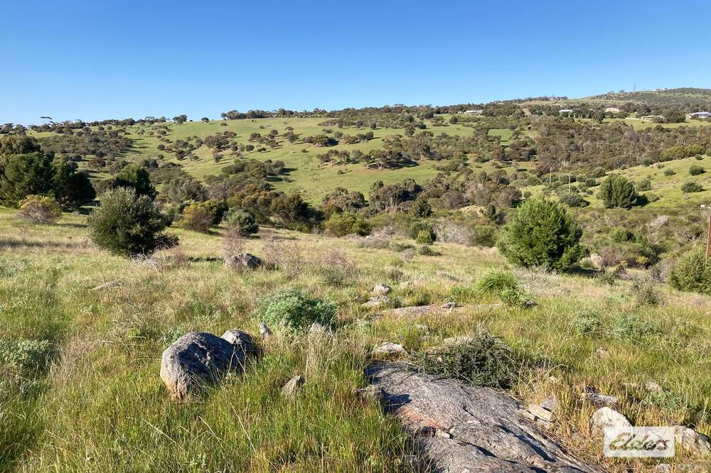 Lot 201 Stinky Creek Road, Tiatukia, SA 5607