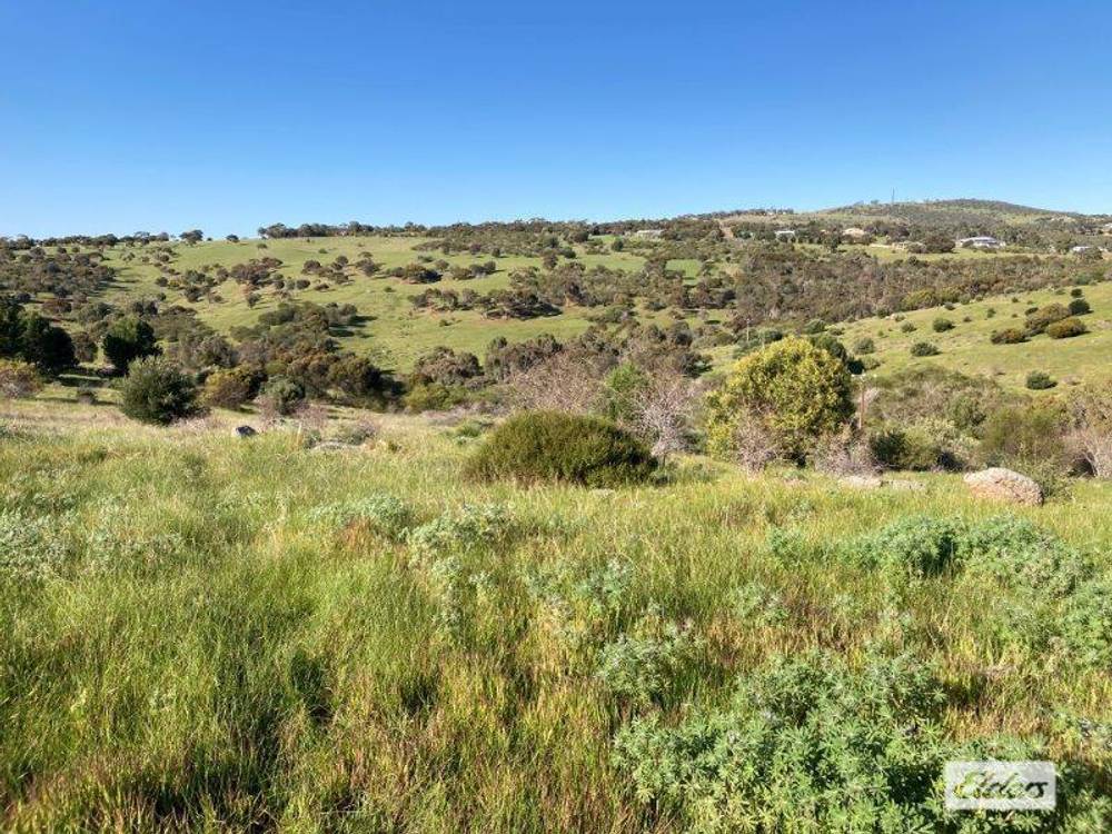 Lot 201 Stinky Creek Road, Tiatukia, SA 5607