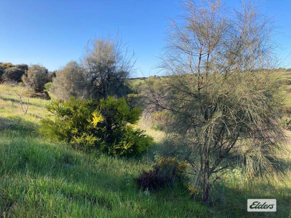 Lot 201 Stinky Creek Road, Tiatukia, SA 5607
