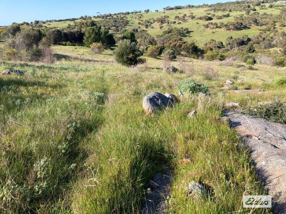 Lot 201 Stinky Creek Road, Tiatukia, SA 5607