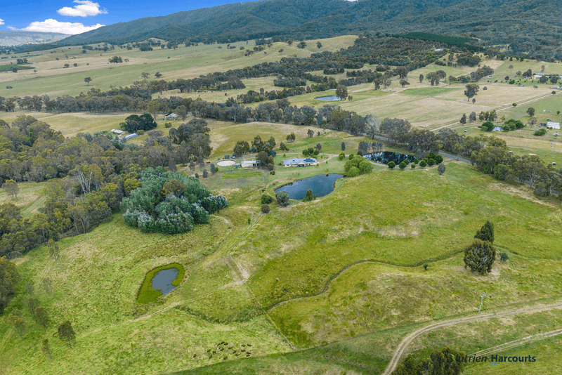 662 Yarck Gobur Road, YARCK, VIC 3719