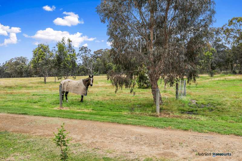 662 Yarck Gobur Road, YARCK, VIC 3719