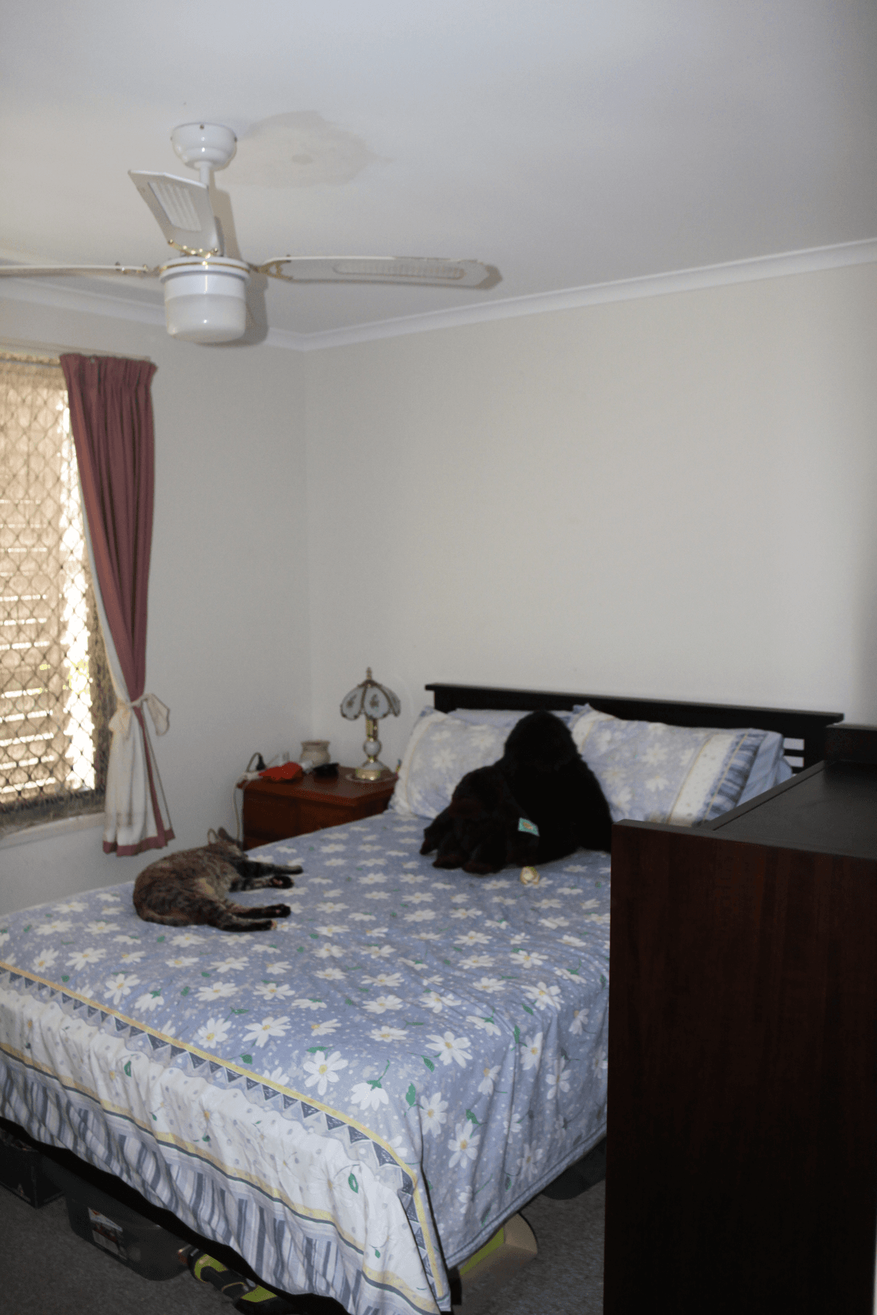 93 Booth Avenue, TANNUM SANDS, QLD 4680