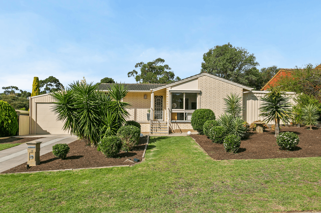 17 Pennant Street, ABERFOYLE PARK, SA 5159