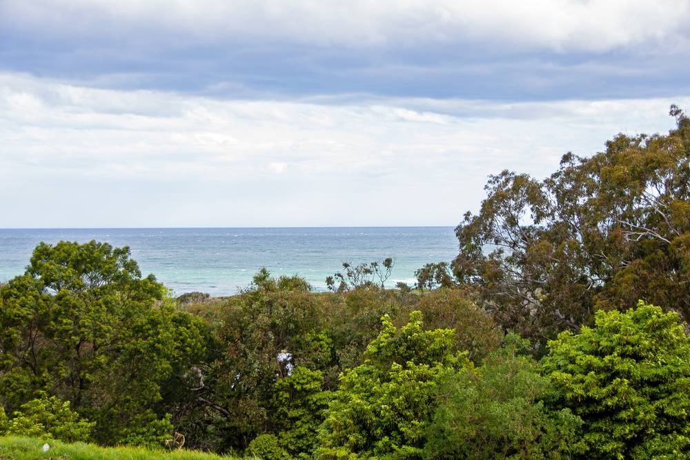 2 Alieca Rise, LAKES ENTRANCE, VIC 3909