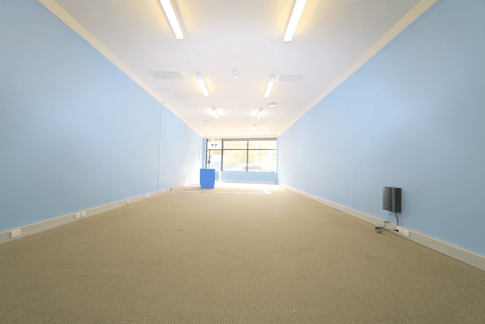 17 Brodie Street, RYDALMERE, NSW 2116