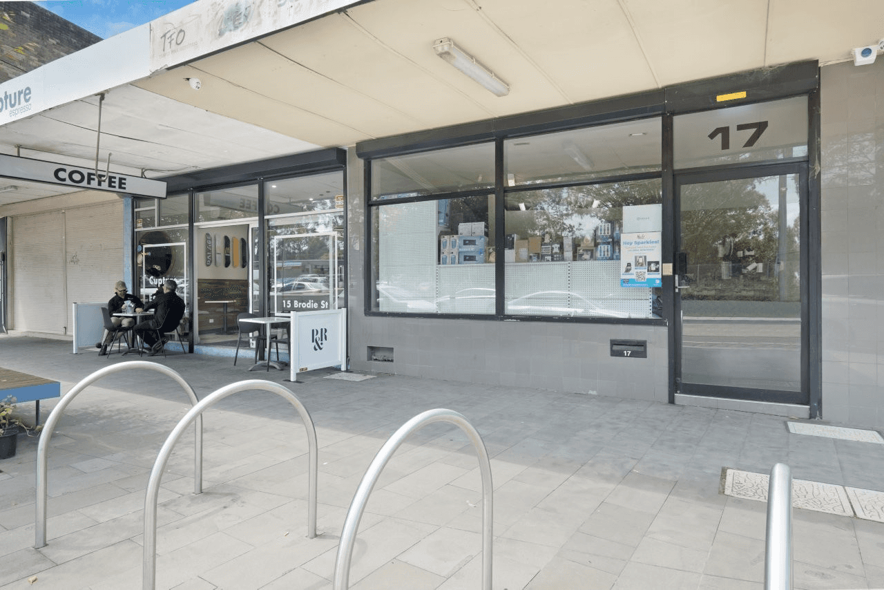 17 Brodie Street, RYDALMERE, NSW 2116