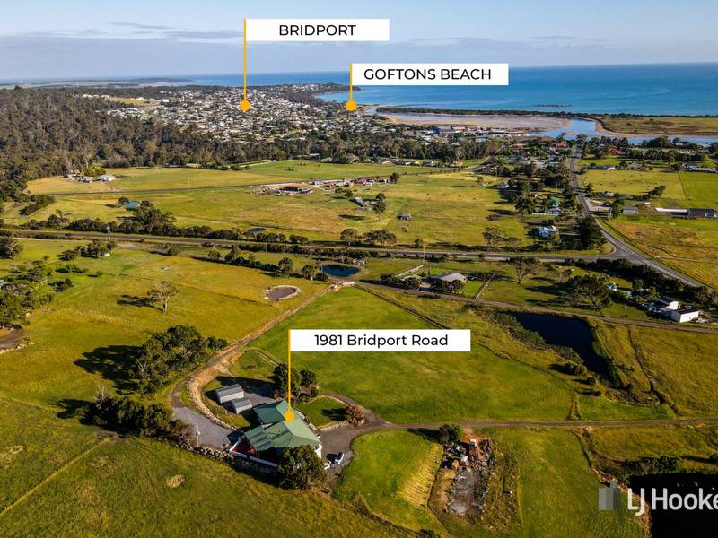 1981 Bridport Road, BRIDPORT, TAS 7262