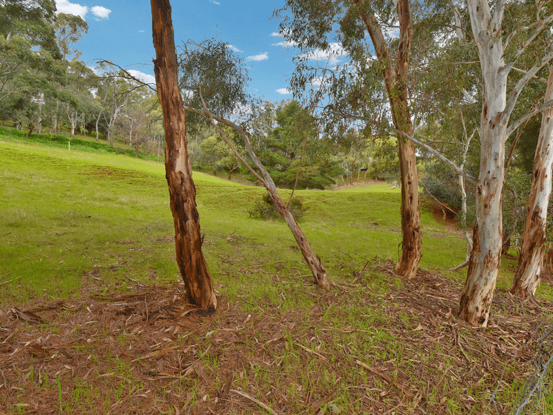 16 Driscoll Road, Coromandel Valley, SA 5051