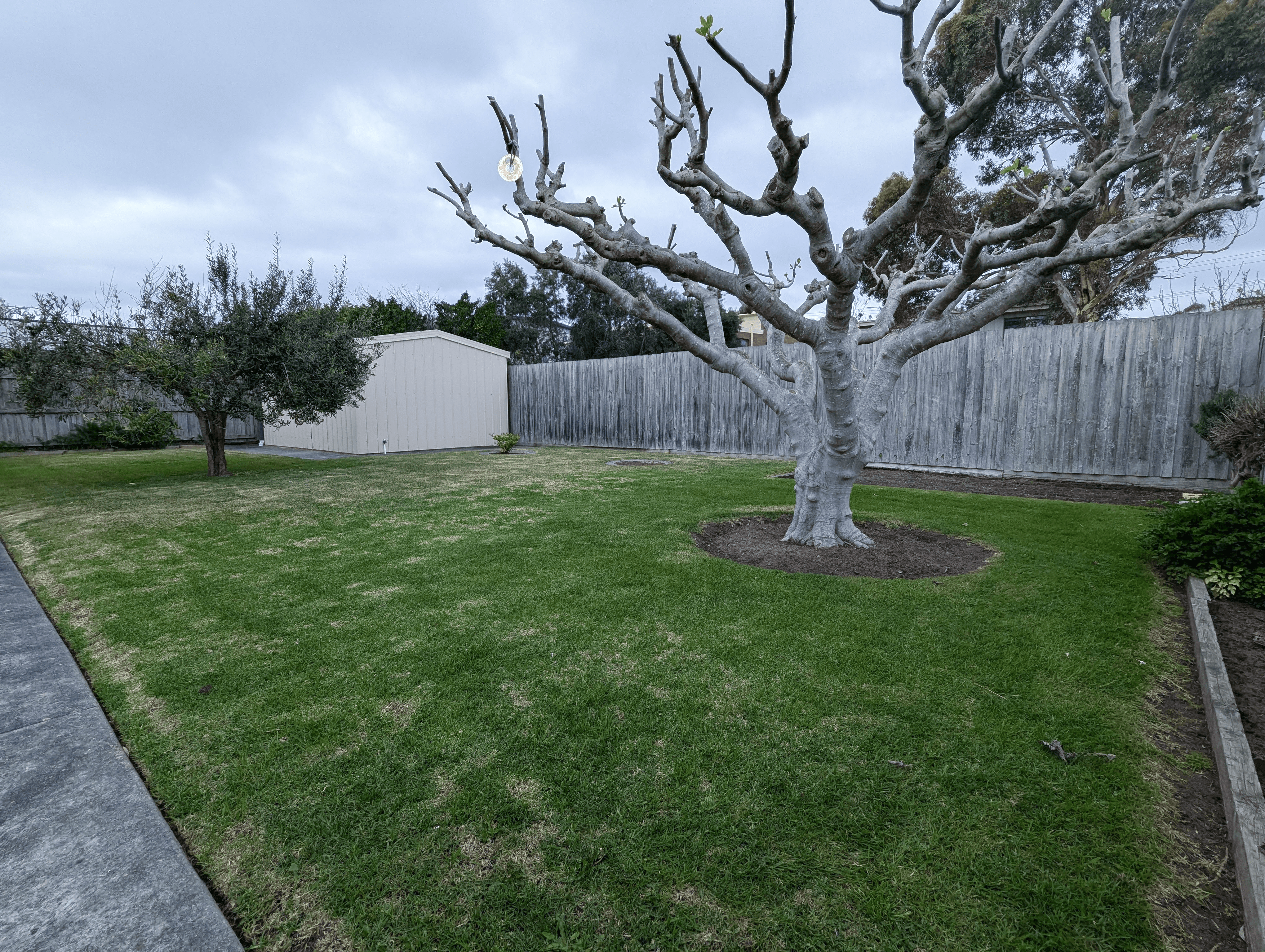 2 Coveside Avenue, Safety Beach, VIC 3936