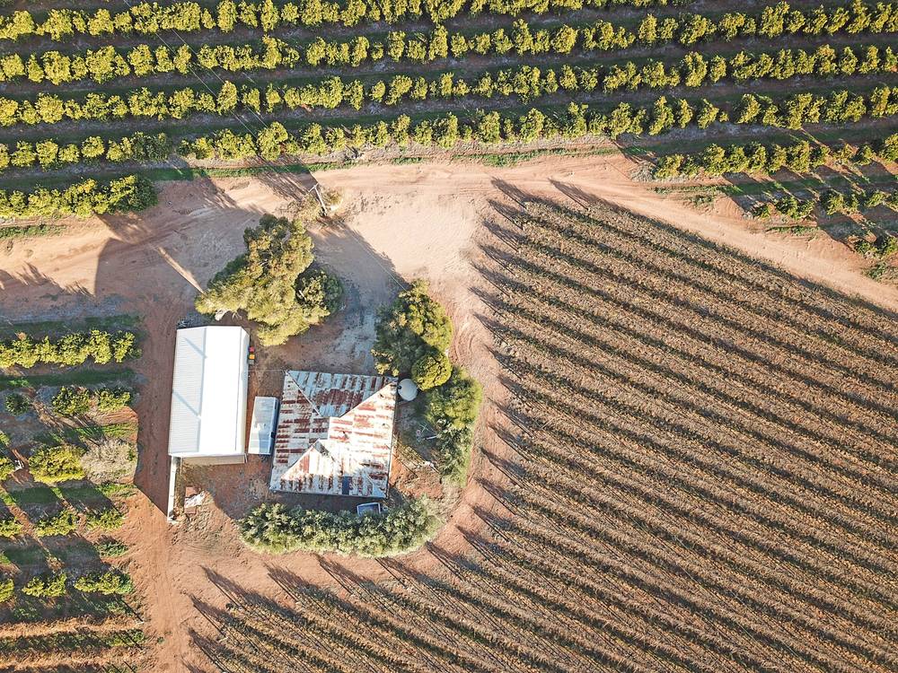 38 Dunstan Road, WAIKERIE, SA 5330