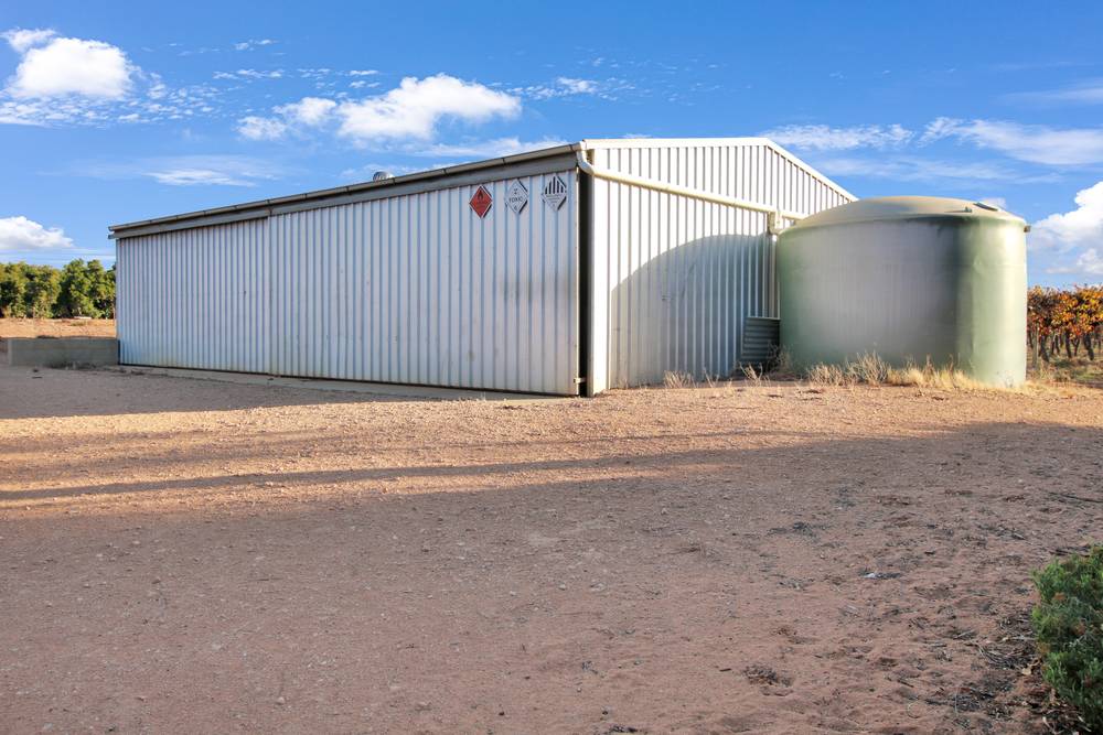 38 Dunstan Road, WAIKERIE, SA 5330