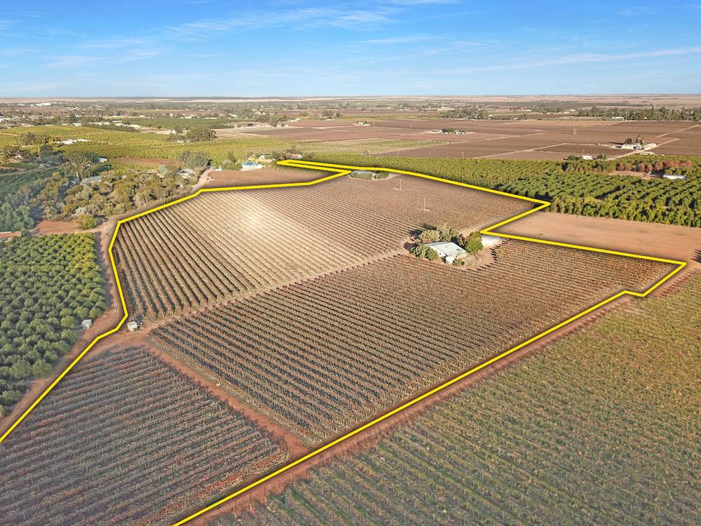 38 Dunstan Road, WAIKERIE, SA 5330