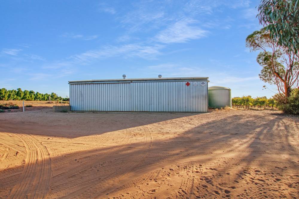 38 Dunstan Road, WAIKERIE, SA 5330