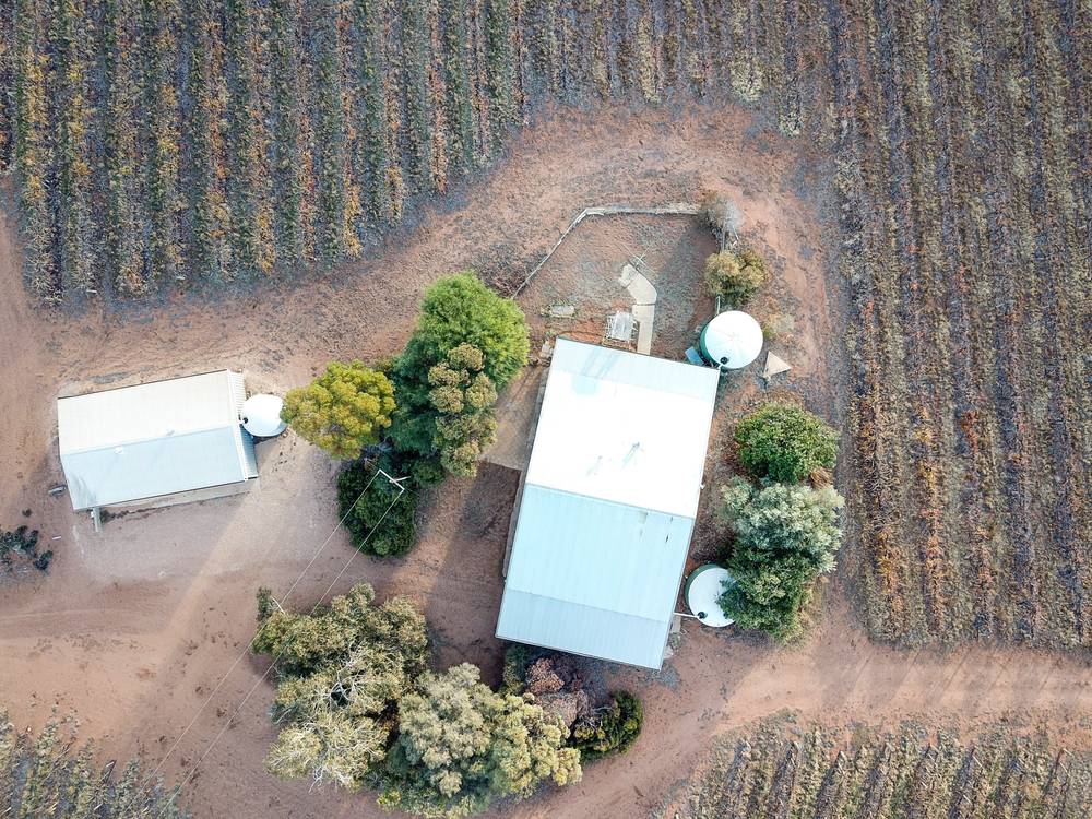 38 Dunstan Road, WAIKERIE, SA 5330